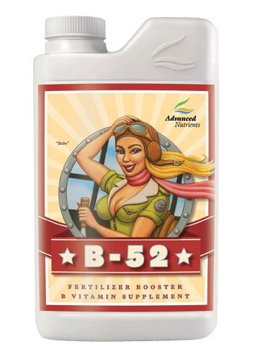 B-52 B Vitamin Supplement