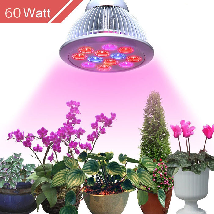 60W PAR38 LED Grow Light (Flowering)